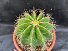 Foto 20 di 24