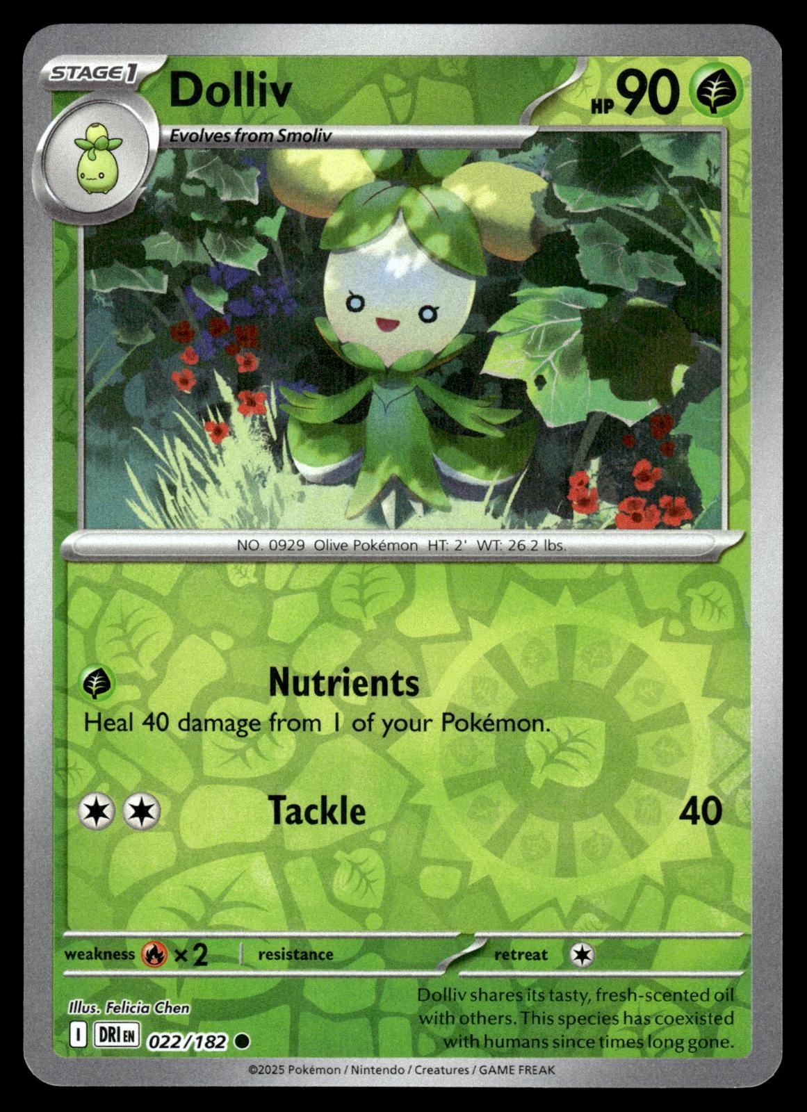 Dolliv 022/182 Common Destined Rivals Pokemon Reverse Holo Near Mint
