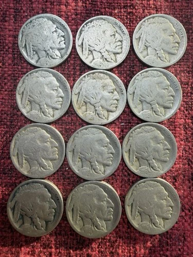 Lot of (12) 1916-S Buffalo Nickel - (G-G+) Rare Visual Dates No Acid Estate Sale