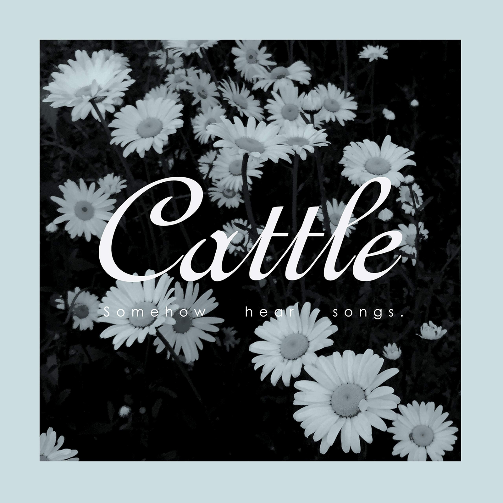 Cattle Somehow Hear Songs (CD)