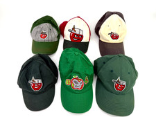 Lot of 6 FORT WAYNE Tincaps Baseball Hats Caps Youth Kids