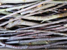 0,5  Kg Apfelzweige, unbehandelt,  Knabberholz,  Apfelholz,  Nager,  Futter