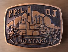 Vtg Pacific Power Belt Buckle Dave Johnson Power Plant 1980 s Brass 81