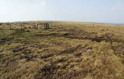 Photo 6x4 Normally a particularly soggy bit Almost all the surrounding gr c2010