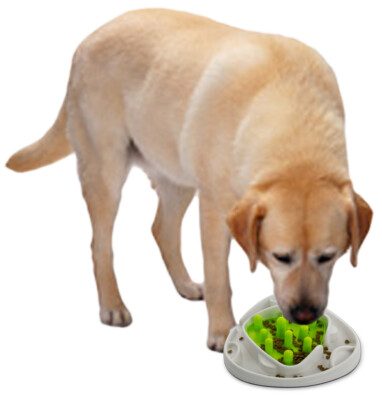 Anti-Schling Futternapf  AFP Interactive Food Maze 28x28x8cm