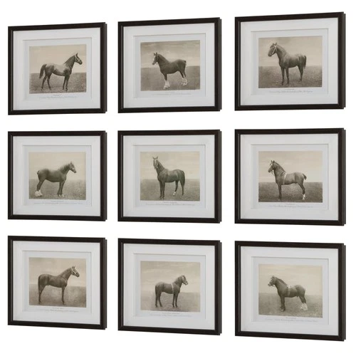 Uttermost 32343 Equine Dynasty Framed Animals Photographic Print - Black - Picture 3 of 5