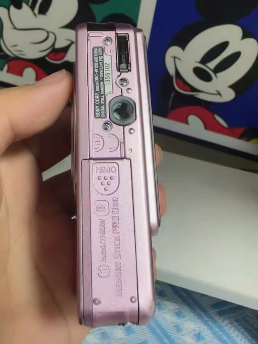 Sony Cybershot DSC-W120 7.2MP CCD Vintage Digital Camera - 100