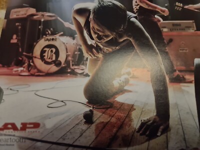 BEARTOOTH CALEB SHOMO / AUGUST BURNS RED A4 POSTER ALTERNATIVE AP