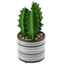 Artificial Cactus Plant Realistic Mini Faux Succulents in Pots Black Ceramic ...