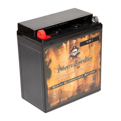YTX16-BS-1  High Performance - Maintenance Free - Sealed AGM Motorcycle Battery