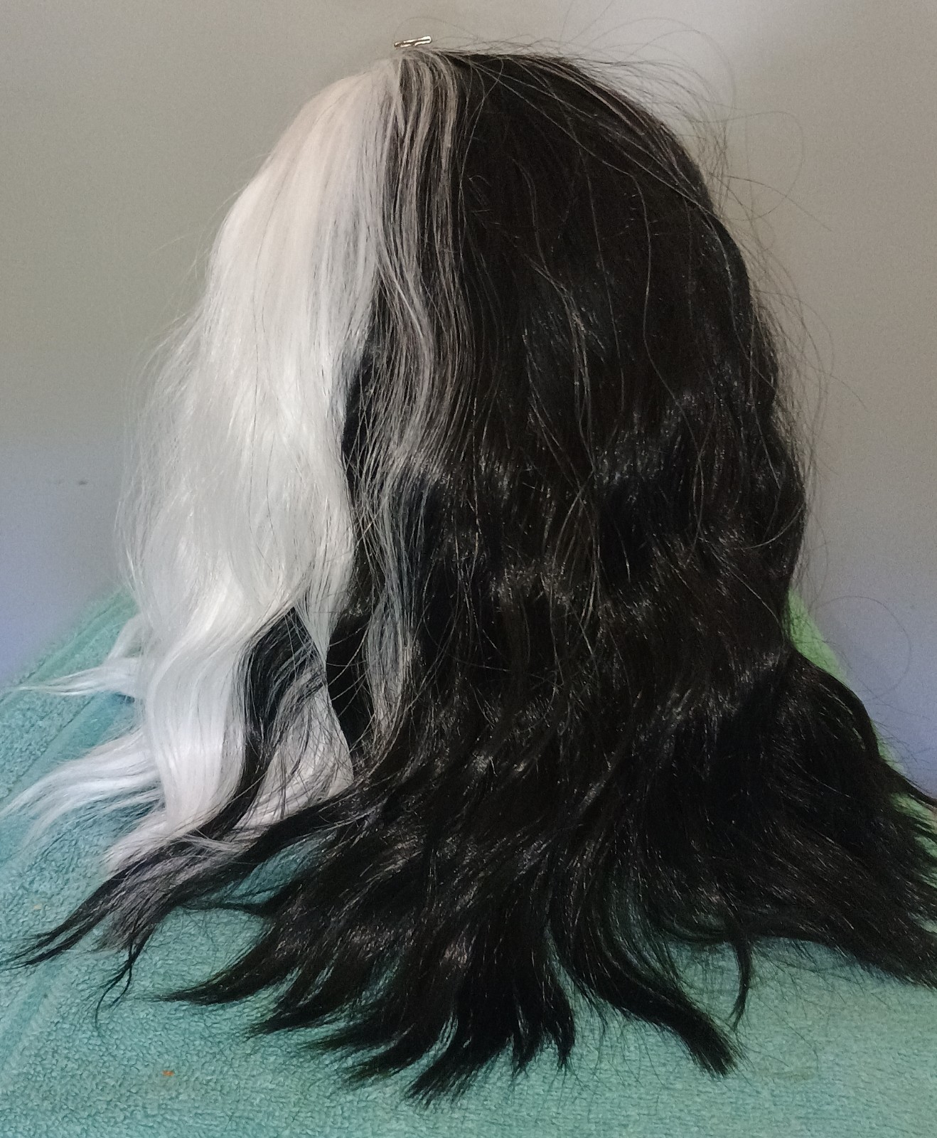 Picture 5 of 11