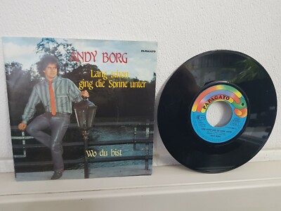 Andy Borg - Lang schon ging die Sonne unter / Wo du bist -Vinyl Single 7er 7  LP