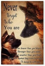 Tin Metal Signs Home D cor Vintage German Shepherd Lovers Never Forget Aluminum