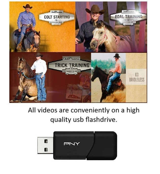 Clinton Anderson Colt, Potro, Truco de entrenamiento de caballos y Go Bridleless completo Foto 2 de 2