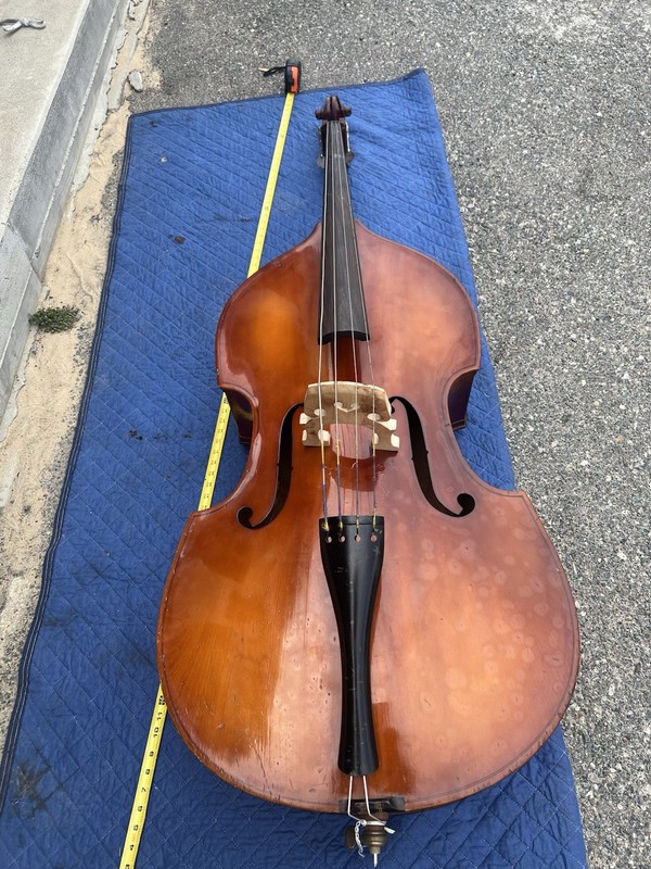 Bass Cello