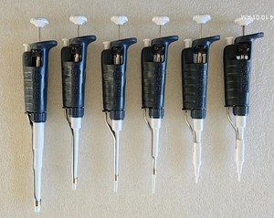 Gilson Pipetman | eBay