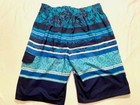 Speedo Size S BOLD Stripe Board Volley Shorts -  Navy Blue/Aqua/Blue/White — photo 10