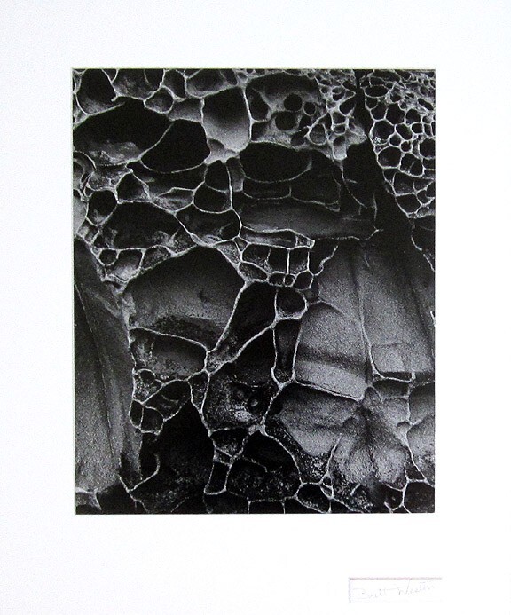 BRETT WESTON Signed 1970's Original Photograph - 