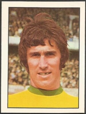 Panini Topseller Football 73 - #242 - Norwich City - Duncan Forbes
