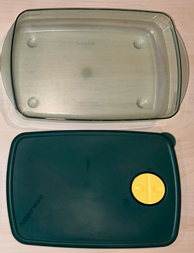 Tupperware Rock N Serve 3.75 cup (3.5 L) rectangle with lid - Hunter ...