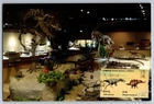 Hong Kong 2022 Dinosaurs Allosaurus FDC Maxi Card w/Pictorial Dinosaur Cancel