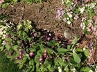 Bild 2 von 12