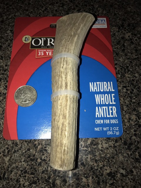 ol roy antler
