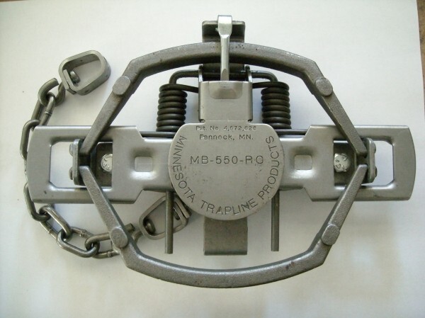 12 ea 1 doz MB 550 OS RC TRAP OFFSET JAW 2 COIL TRAPPING COYOTE BOBCAT FOX  TRAPS | eBay