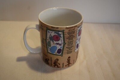 Konitz Mug Biology DNA Evolution Plant Animal Cell Features of Life Large Mug