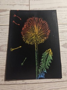 ACEO Original Rainbow Miniature Scratchboard - Dandelion - by Nicole Cress
