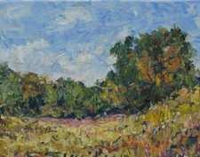 Dipinto olio originale artistico di RM Mortensen "Campi di colore" fiori selvatici 11"X14"