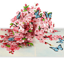 Cherry Blossom Pop Up Card with Butterflies 3...