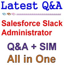 Salesforce Certificato Slack Administrator Esame Q&a
