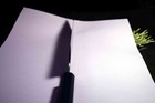 Bild 11 von 12