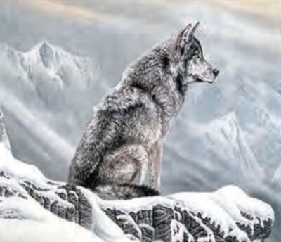 LONE WOLF ON SNOW MOUNTAIN - 3D PRINT 400mm x 300mm