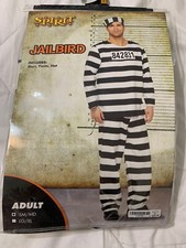 Spirit Halloween JailBird Costume Adult Mens S/M Shirt, Pants, Cap EUC