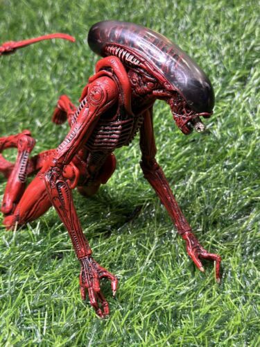 NECA ALIENS GENOCIDE Red Dog Xenomorph 9” Toys R Us Exclusive - RARE - Picture 5 of 11