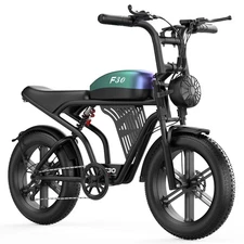Electric Bike Adult 2000W 30-60Mile 48V 20*4" Fat Tire Off-road Mountain Ebike