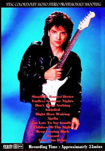 Richard Marx Best of Video Collection DVD - Picture 2 of 2