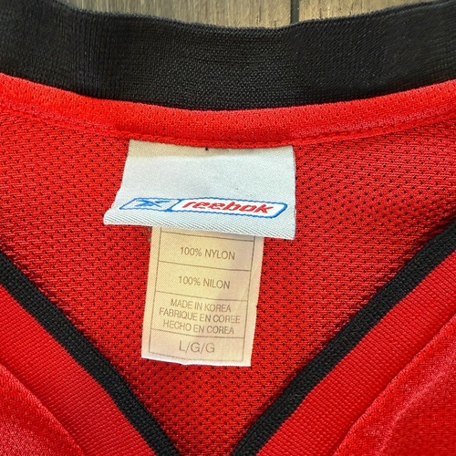 Reebok Jerome Williams Toronto Raptors Alternate Screen Print Jersey L Large vtg - Picture 5 of 8