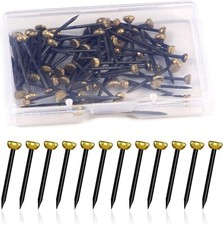 60pcs Wall Picture Pins Brass Head Masonry Pin Nails with Storage Box for Hangin
