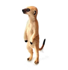 Meerkat Suricate Toy Action Figure Small Animal Figurine Doll Gift for Kids