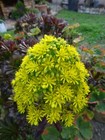 Bild 6 von 24
