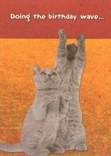 Designer Greetings 2 Gray Kittens Doing the Wave Cute Cat Birthday Card