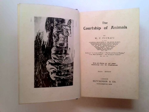 The Courtship of Animals - Pycraft, W. P. - 1914-01-01 Hutchinson & Co. - Bild 2 von 2