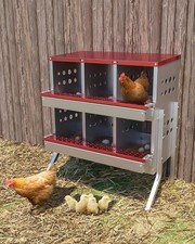 6Compartment Chicken Nest Box Mental Box Nesting Boxes Chicken Coop Laying Box