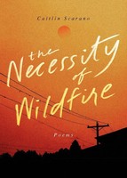 The Necessity Of Wildfire | Poems | Caitlin Scarano | Englisch | Taschenbuch