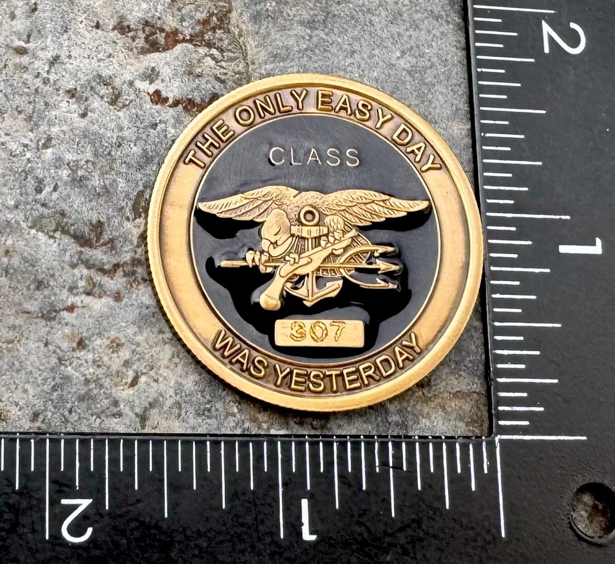 Navy Seals BUDS Seal Team Training Class 307 Challenge Coin NSW