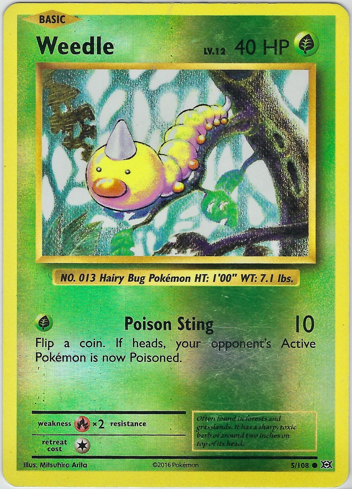 Weedle 5/108 Reverse Holo Evolutions 2016 Pokemon LP eBay