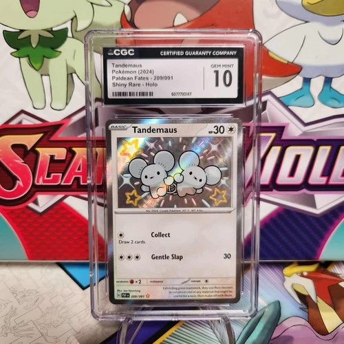 CGC 10 Tandemaus 209/091 Baby Shiny - Paldean Fates - Pokemon TCG - SHIPS FAST